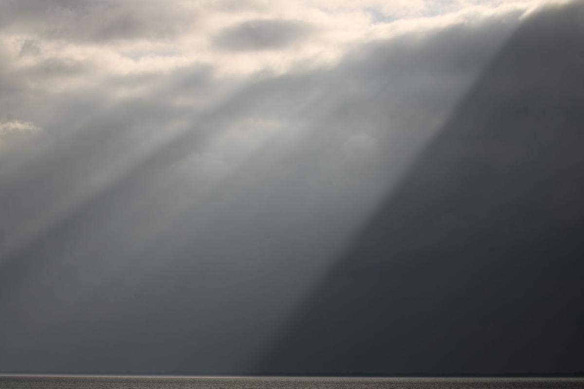 Light in the Dark - Clive Bond